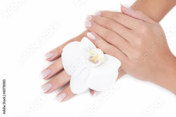 Obraz Beautiful woman's hands