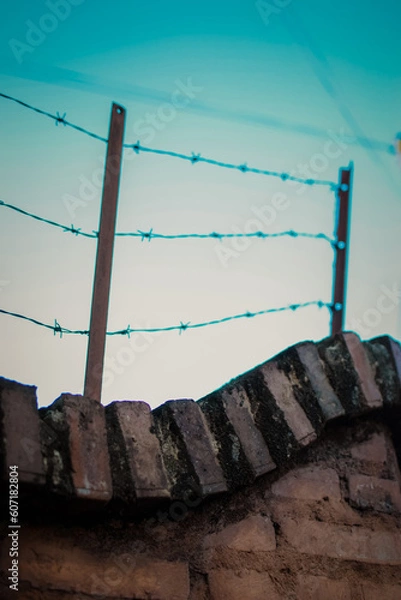 Obraz muro alambrado 