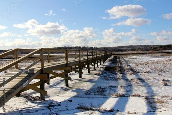 Obraz Winter on the Cape