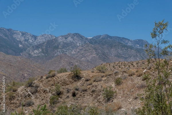 Fototapeta Beautiful desert vista along the east branch of the Palm Canyon trail with snow capped mountain peak at the horizon in Palm Springs, Southern California