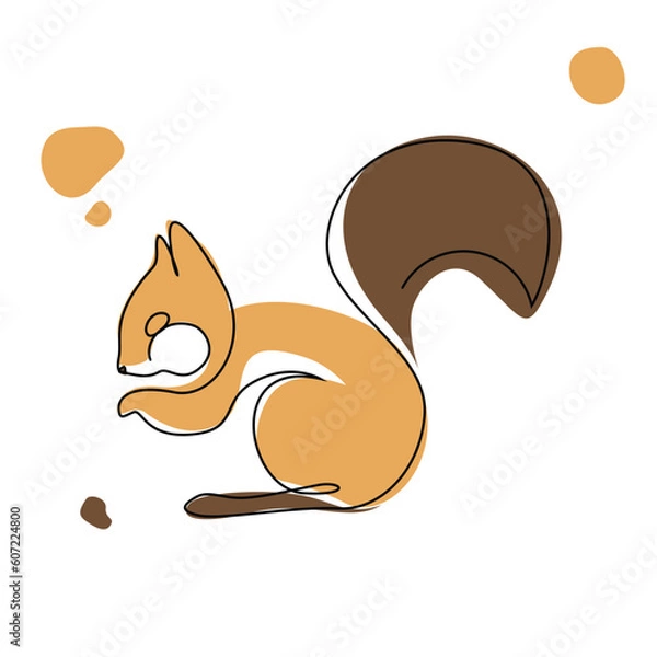 Fototapeta Squirrel Line Art Vector. Squirrel Illustration design for Wall art Print