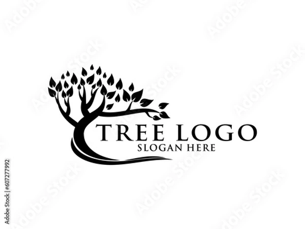 Fototapeta Tree Logo Vector, Tree of life logo design template isolated on white background