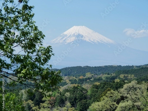 Obraz 富士山_1