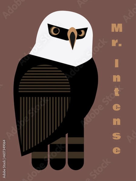 Obraz Hawk-eagle Mr. Intense