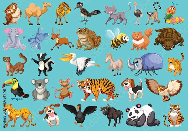 Fototapeta Set of beautiful animal by the greatest graphics