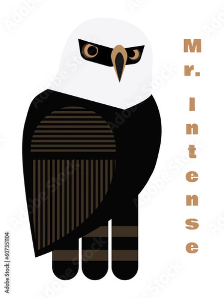 Obraz Hawk-eagle Mr. Intense - no background	