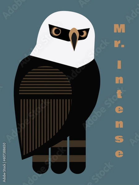 Obraz Hawk-eagle Mr. Intense blue background