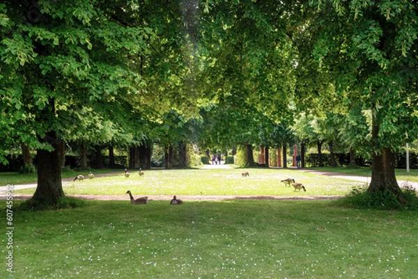 Obraz Südpark in Düsseldorf
