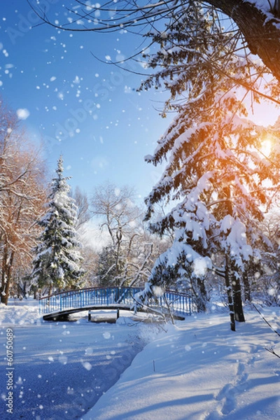 Fototapeta Beautiful winter landscape