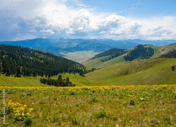 Obraz Mountain and Valley View from the Natl Bison Refuge MT USA