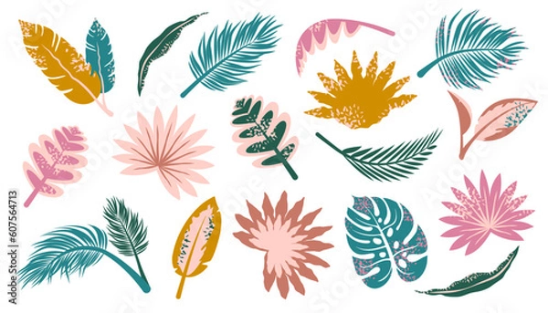 Fototapeta Set of exotic tropical leaves. Bunch of Jungle palm leaf isolated. Modern foliage of rainforest. Modern abstract color nature. Vector flat illustration