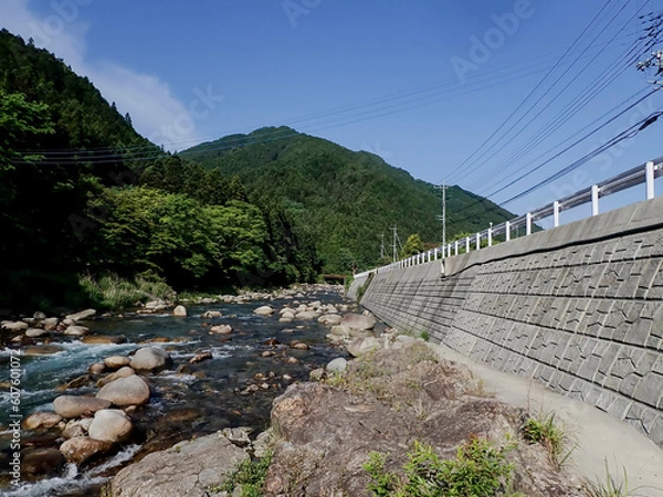 Fototapeta 大芦川での渓流釣り