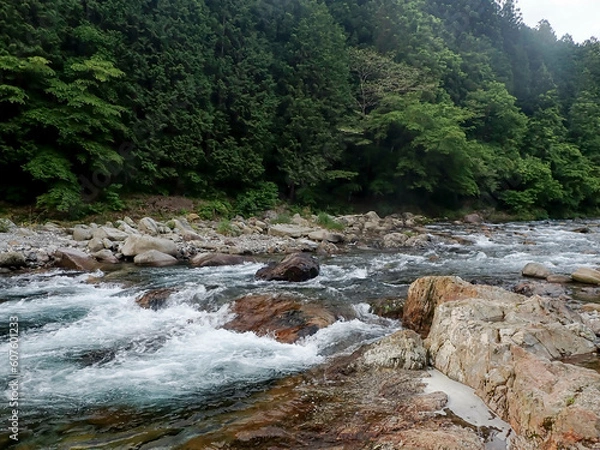 Obraz 大芦川での渓流釣り