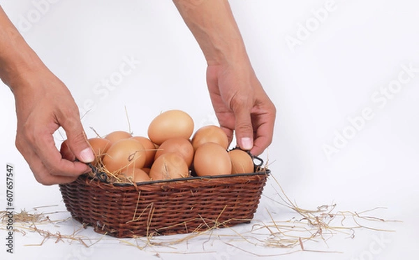 Fototapeta Fresh eggs in a beautifully placed basket with hands about to lift the basket on a white background