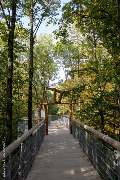 Fototapeta Baumkronenpfad