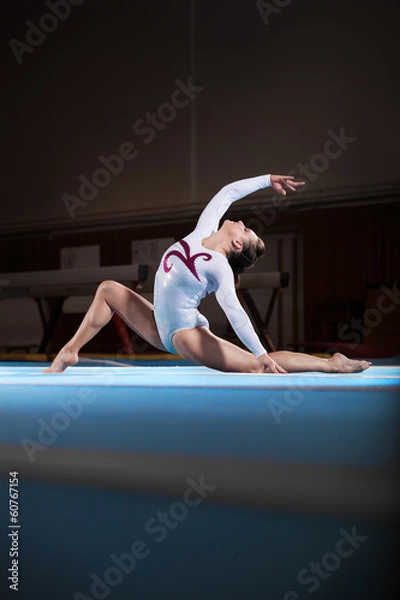Obraz portrait of young gymnasts competing in the stadium