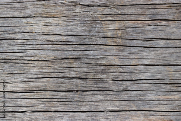 Fototapeta wood tree timber background texture structure backdrop