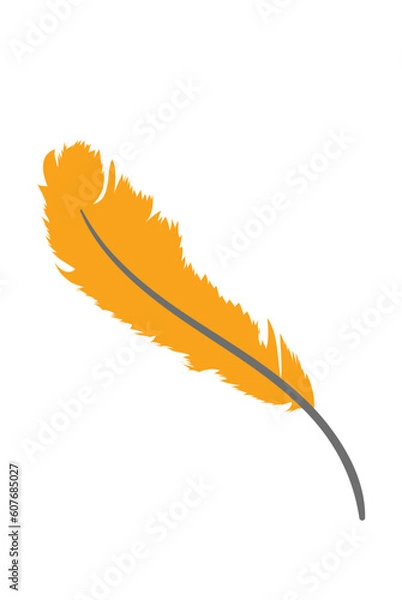 Fototapeta Feather Vector Design