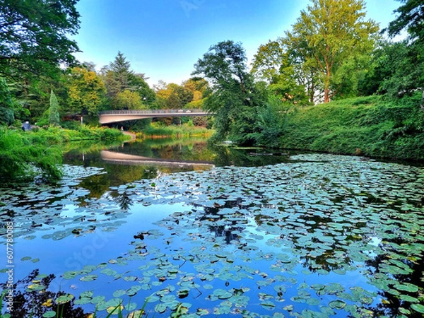 Obraz garden with pond