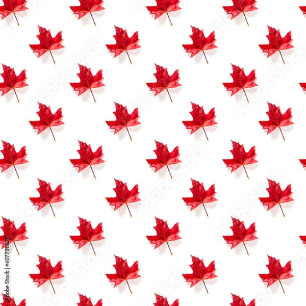 Fototapeta Seamless pattern of colorful autumn maple leaf isolated on white background
