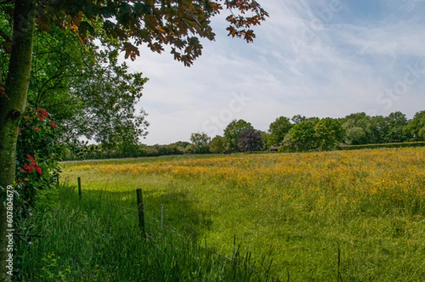Obraz Eertbeeckse Beekpad