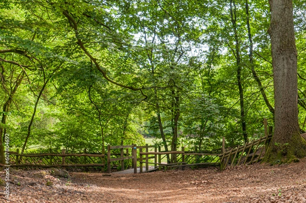 Obraz Eertbeeckse Beekpad