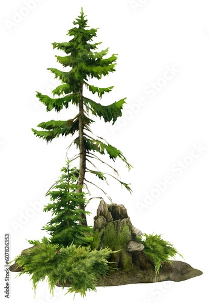 Fototapeta A forest landscape with a stump, firs and juniper hand drawn in watercolor. Watercolor landscape illustration.	