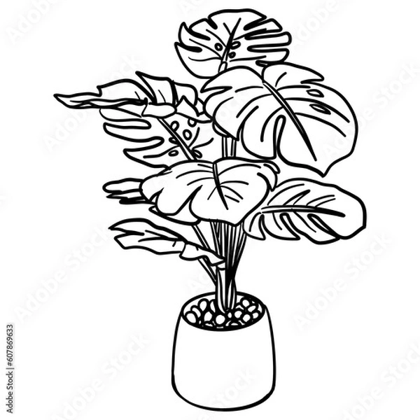 Obraz plants and flowers