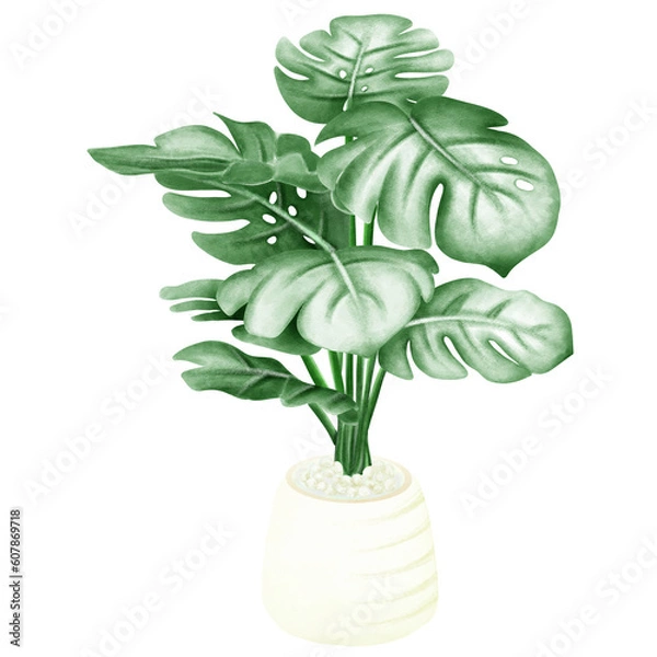 Obraz plants and flowers