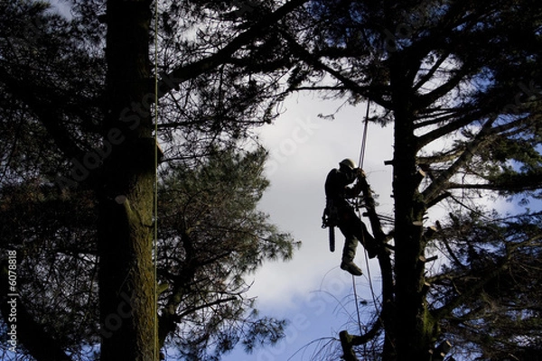 Obraz Bucheron élageur