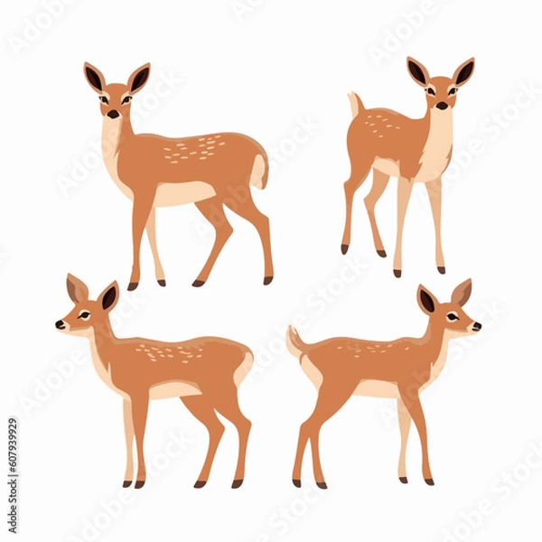 Fototapeta Expressive deer illustrations with intricate details, bringing them to life on the page.