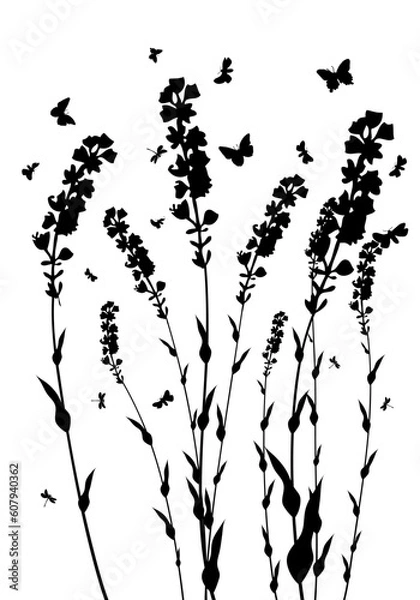 Fototapeta Vector grass silhouettes background. All objects are separated.