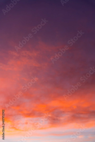 Obraz sunset in the sky