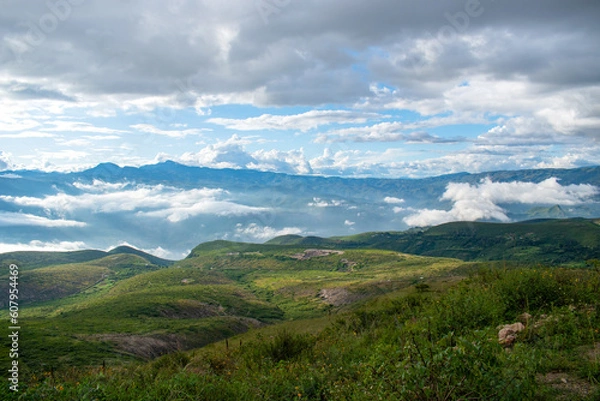 Obraz landscape in the summer
