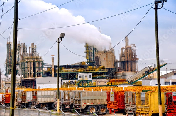 Fototapeta Orange juice processing plant