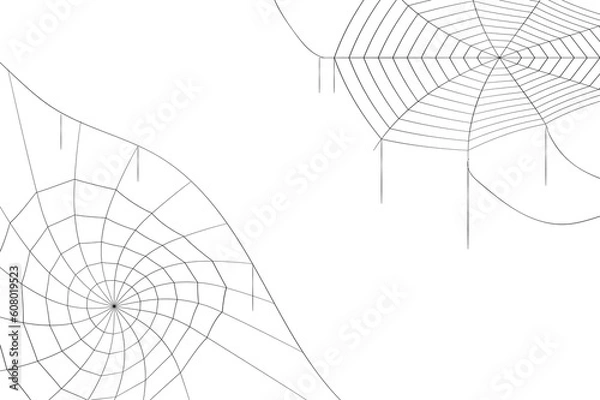 Obraz halloween cobweb background. halloween cobweb wallpaper. cobweb background.