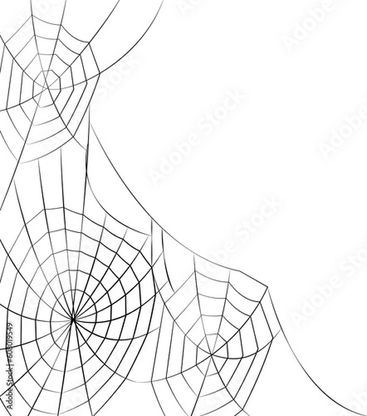 Obraz halloween cobweb background. halloween cobweb wallpaper. cobweb background.

