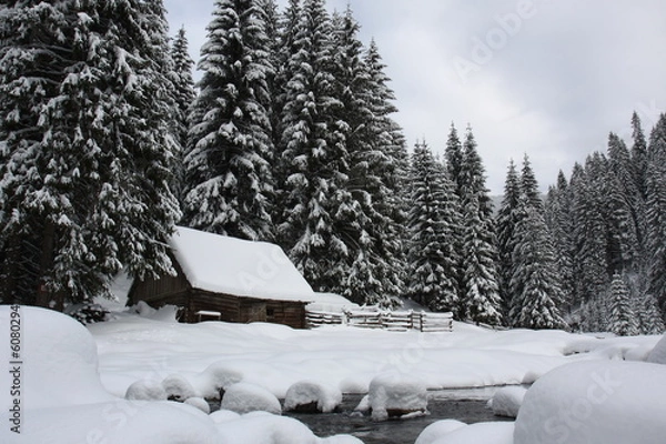 Obraz winter landscape, river on the forest