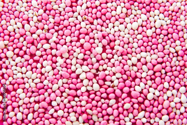 Fototapeta Rusk with mice