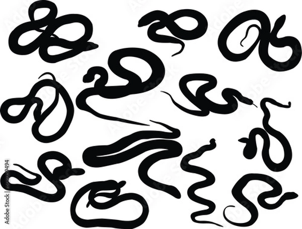 Obraz snake silhouette collection - vector