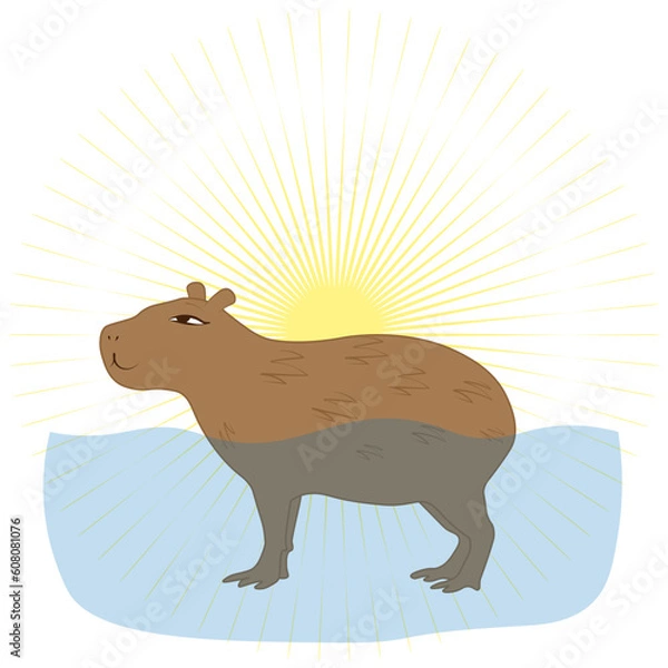 Obraz Satisfied capybara against the background of the sun
