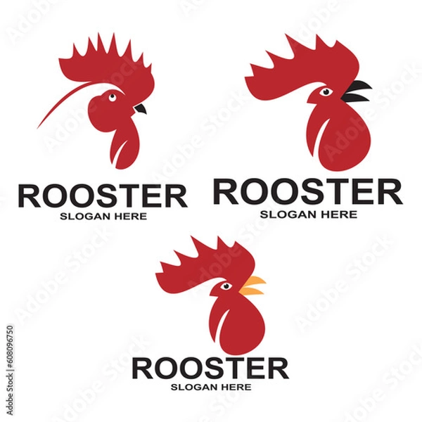 Obraz Rooster head logo vector icon symbol illustration design