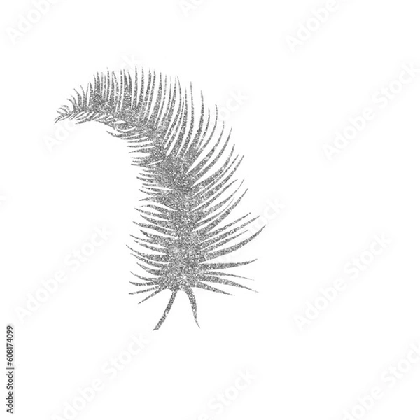 Obraz fern leaf isolated on white