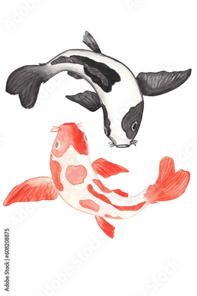 Obraz Koi carp. watercolor illustration. yin yang. good and evil. black and gold carp. 