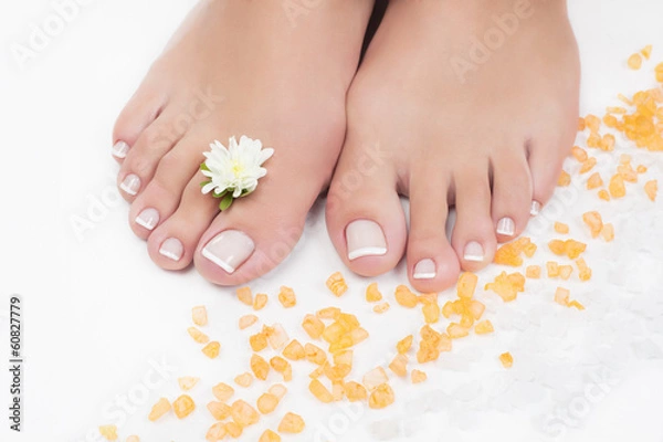 Obraz Beautiful woman's legs