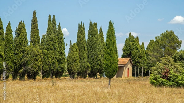 Fototapeta Paysage de Provence.