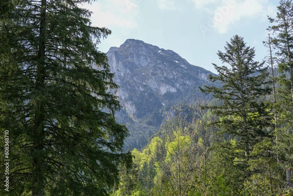 Obraz Szczyt góry, tatry