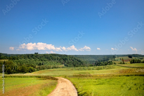 Obraz Footpath running through the fields.