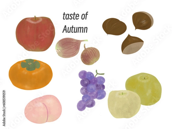 Obraz 秋の味覚