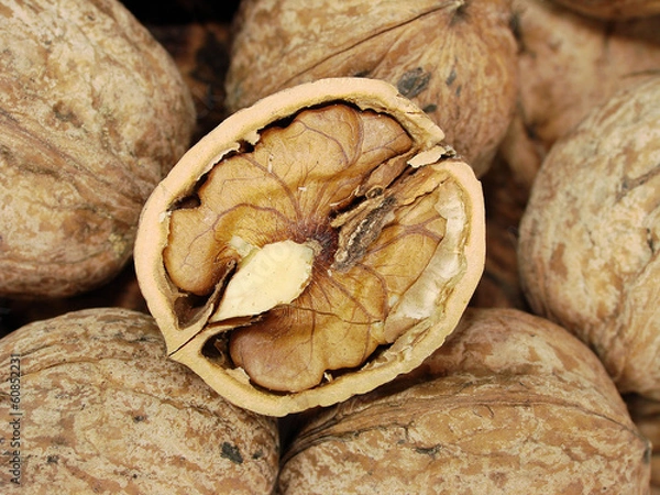 Obraz nocciolo in guscio